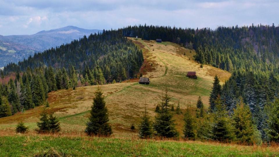 Wasielowka Poręba Wielka المظهر الخارجي الصورة