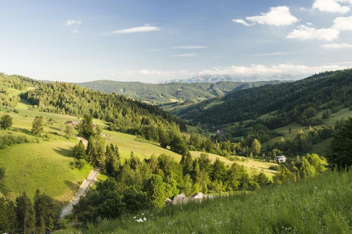 Wasielowka Poręba Wielka المظهر الخارجي الصورة